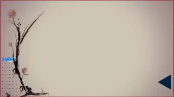 17 جنيهاً.. استقرار سعر البرتقال في سوق العبور يتواصل الأربعاء